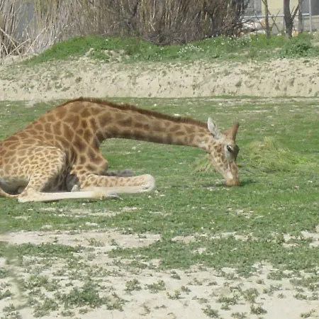 Chez Odile Apartamento Sigean