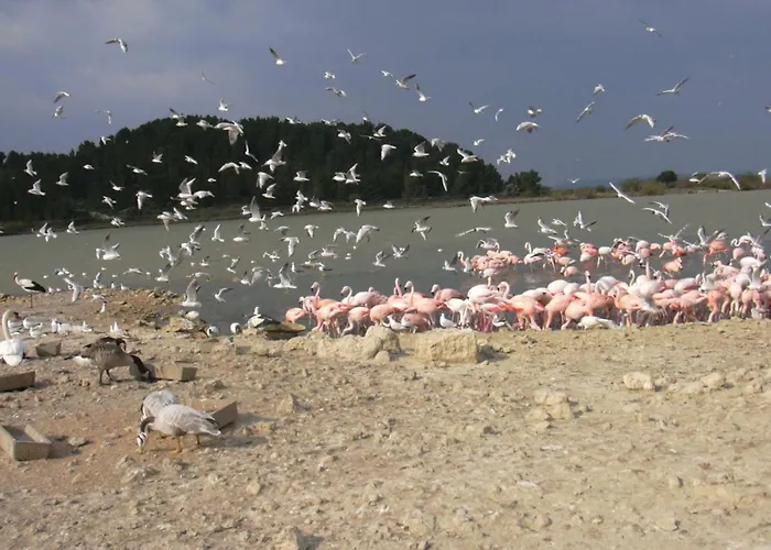 Διαμέρισμα Chez Odile