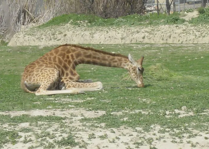 Chez Odile Διαμέρισμα Sigean