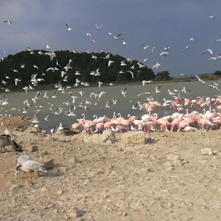 Appartement Chez Odile